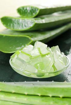 Aloevera Bitkisinin Cildimize Faydaları
